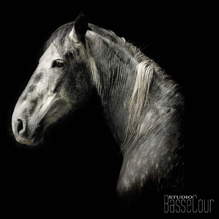 - - N°24 - - N°24